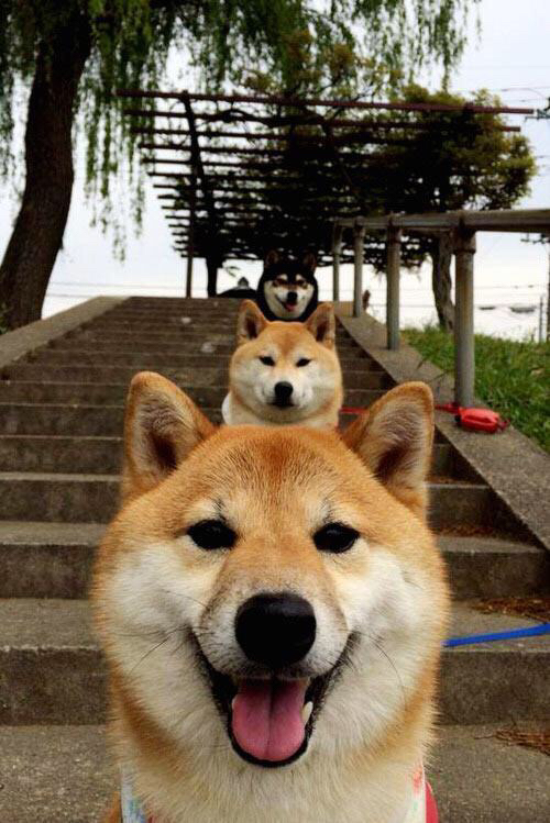 开云体育在线-奥坎波球场的弦弓，迪亚斯如何将个人才华谱写成墨西哥的集体节奏