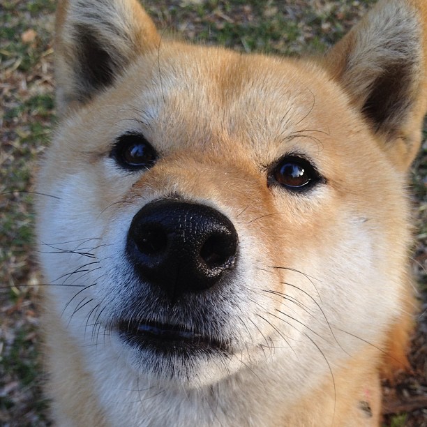 最喧哗与最沉默,欧文在麦迪逊花园的两小时